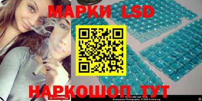шишки Лесосибирск