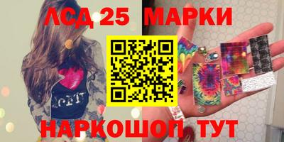 шишки Лесосибирск