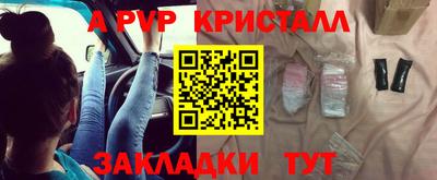 шишки Лесосибирск