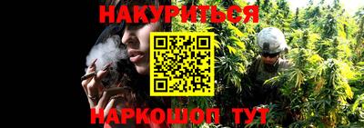 шишки Лесосибирск