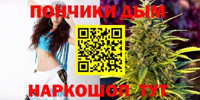 шишки Лесосибирск
